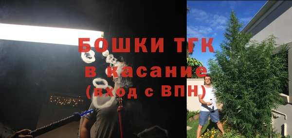 гидра Вязники